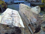Hand Crafted Archtectural Roff Trusses